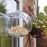 Peckish Globe Window Feeder