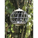 Nuttery Helix Niger Seed Feeder 