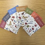Wildflower Seed Packs
