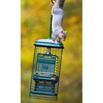 Squirrel Buster™ Suet + free Suet Cakes
