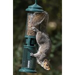 Squirrel Buster™ Peanut Feeder
