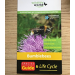 Species Guide to UK Bumblebees