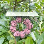 Super Suet Fat Balls With Berry 