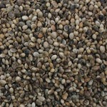 Hemp Seed For Birds