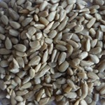 Premium Sunflower Hearts for Birds