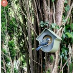 National Trust Evie Peanut Butter Feeder