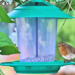 Eco-Blu Bird Seed Feeder