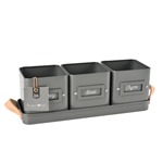 Herb Pots in Leather Handled Tray 