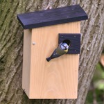 Alura Opal Nest Box 32mm - Natural