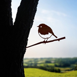 Metal Bird - Robin