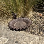 Clearance Old Iron Sunflower Feeder
