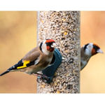 High Energy Blend™ SAVE 10%