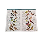 150 Birds You Need to Know