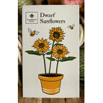 Dwarf Sunflower Seeds