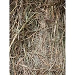 Really Wild Nesting Hay