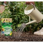 Nature's Haven Easy Wildflowers for Birds