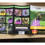 Species Guide to UK Bumblebees