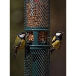 Squirrel Buster™ Peanut Feeder