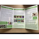 Species Guide to Pollinating Bees