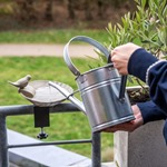 Balcony Bird Bath Balus - Olive Green