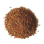 Red Millet