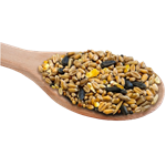 Birdie Basics™ Bronze Bird Seed Mix