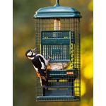 Squirrel Buster™ Suet + free Suet Cakes