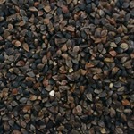 Buckwheat