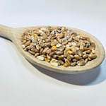 Traditional Poultry Corn