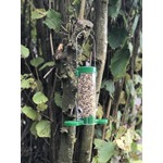Get Set Go* Seed Feeder