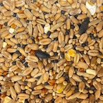 Birdie Basics™ Silver Bird Seed Mix