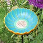 African Daisy Bird Drinker