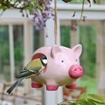 'Curlie' Hanging Ceramic Pig - Bird Feeder
