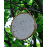 Clearance Coco-NOT Feeder - Twin Pack SAVE OVER 50%