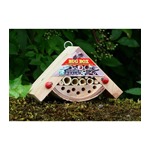 Bobby's Minibug Bug Box!