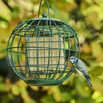 Vegan Suet Block with Sunflower Hearts 315g