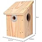  Camera Ready Nest Box 