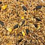 Birdie Basics™ Bronze Bird Seed Mix
