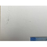 Clearance Blowing In The Wind Water Colour