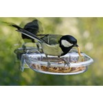  I Love Robins Window Treat Tray 