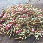 Christmas Crumble™ 