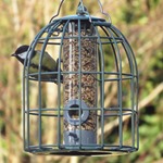 Nuttery Original Compact Seed Feeder