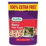  Berry Suet Treats 500g + 100% Extra Free 
