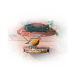 I Love Robins Feeder Fixer for Treat Tray