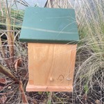 Minnesota Nest Box 32mm with Wooden Roof