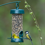 Big Easy™ Seed Feeder - SAVE £££s