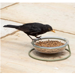 I Love Robins Treat Dish + Free Robin Crumble