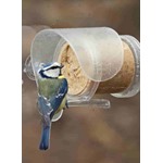 Flutter Butter Pods - Window Feeder 