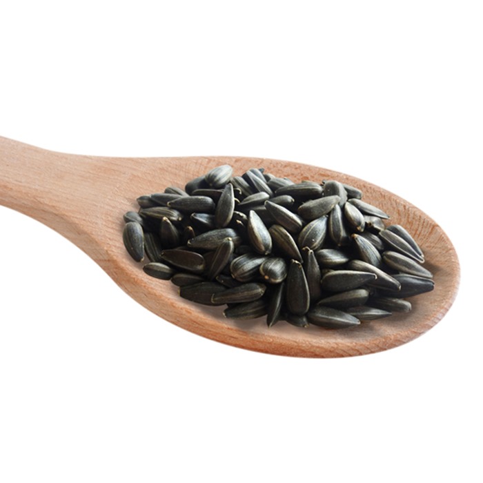 Black Sunflower Seeds Really Wild Bird Food