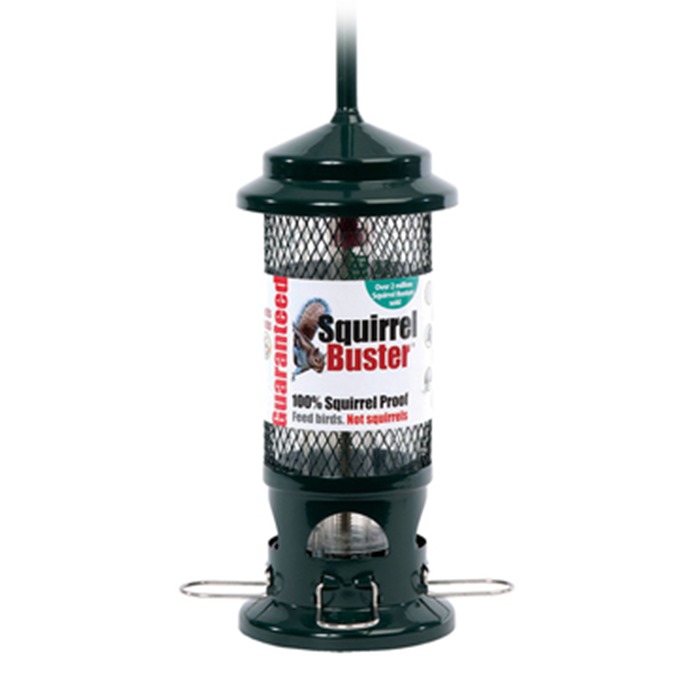 The Squirrel Buster Tsqb Rwbf Co